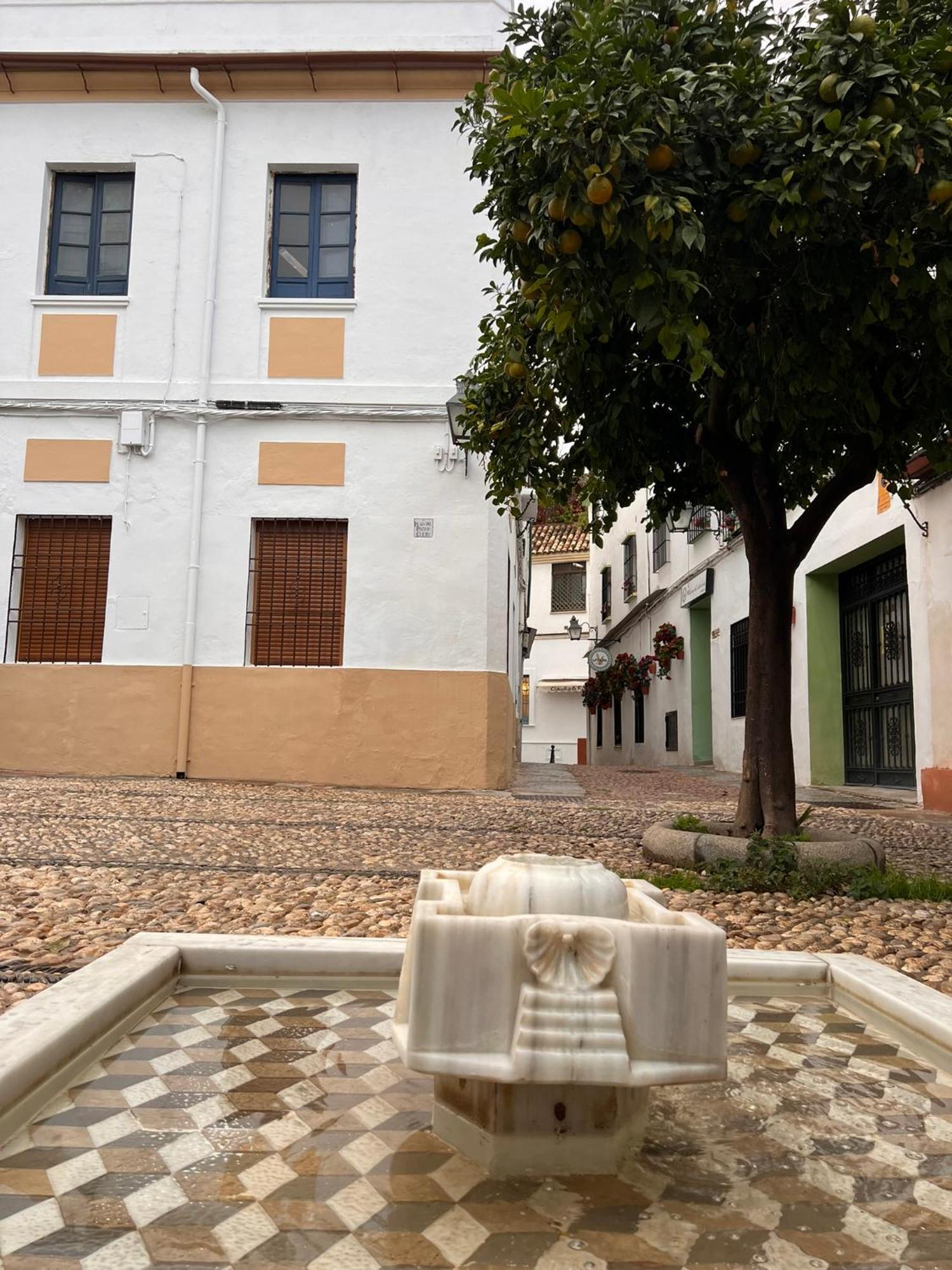 Casa Conchi Daire Cordoba Dış mekan fotoğraf