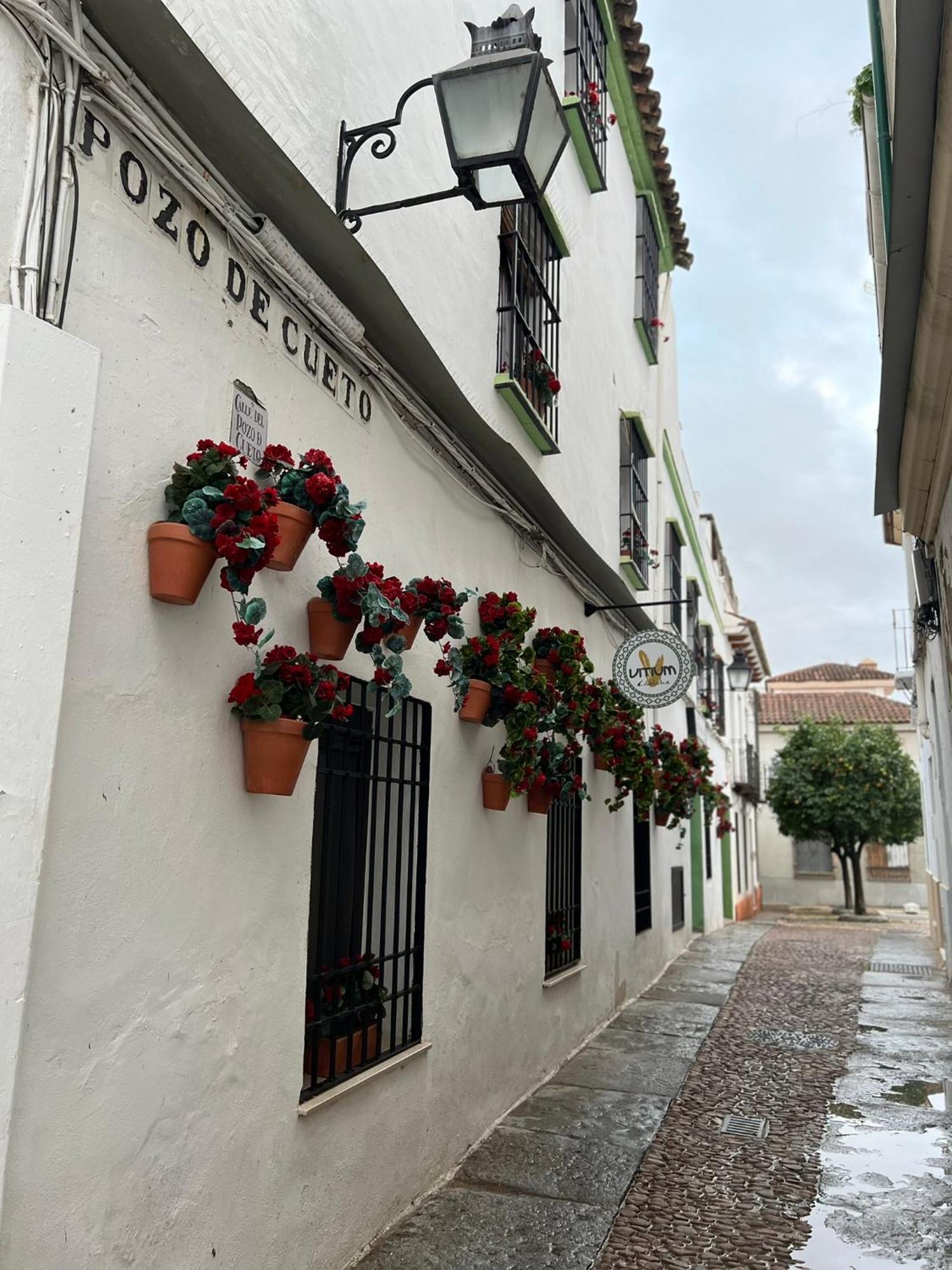 Casa Conchi Daire Cordoba Dış mekan fotoğraf